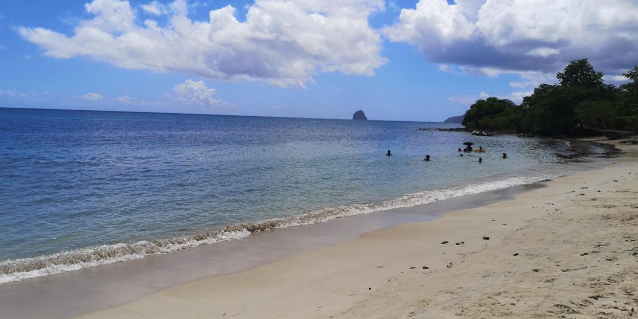 L'Hibiscus Piscine Et Plage 圣吕斯 外观 照片